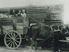 csm_pferdegespann1902_263f29816c Pferdegespann für Gemüse und Obst Waren