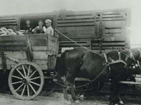 Historie SistigEnergie Pferdegespann