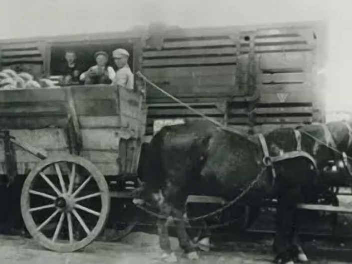 Foto 02 - Sistig Kohle Pferdegespann - Ca. Anfang 20. Jahrhundert